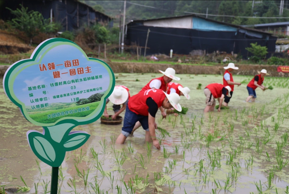 福建高速养护网 - 开元官方网站登录 福建高速养护网 - 开元官方网站登录